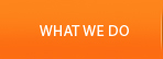 what-we-do